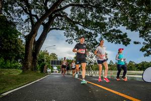 BIB: 
                            <button type="button" onclick="openModal(26537415)" class="btn btn-primary btn-sm float-right btn-popup" data-toggle="modal" data-target=".modal-high-quality">
                        <i class="fas fa-shopping-cart"></i> Add to Cart
                    </button>
                                            <button type="button" onclick="isThisMe(26537415, true)" class="btn btn-success btn-sm float-right btn-popup btn-isme hidden" data-toggle="tooltip" data-placement="bottom" title="นี่คือรูปของคุณใช่ไหม คลิกที่นี่เพื่อเอาเข้าอัลบั้ม">
                        <i class="fas fa-plus"></i> Add to album
                    </button>
                    <button type="button" onclick="isThisMe(26537415, false)" class="btn btn-warning btn-sm float-right btn-popup btn-isnotme hidden">
                        <i class="fas fa-ban"></i> Remove from album
                    </button>